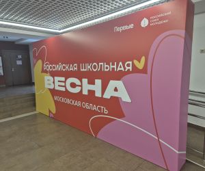 Пресс-волл на брусе 5х2,5м с боковыми стенками